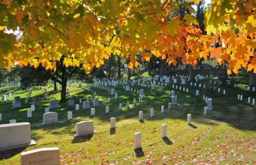 Photographing Fall Colors Around Washington, DC