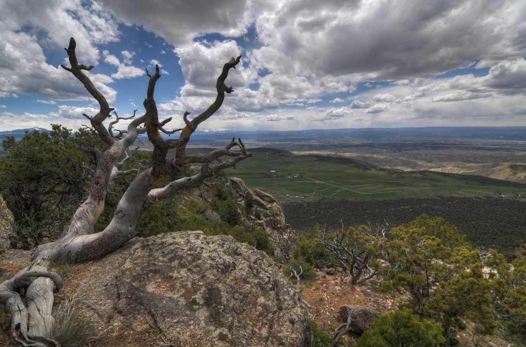 Warner Point Trail, Black Canyon of the Gunnison National Park